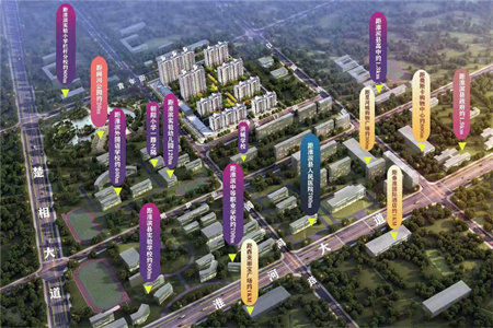 龙都花园3室1厅1卫101㎡/附9